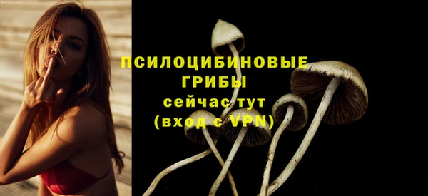 винт Арсеньев