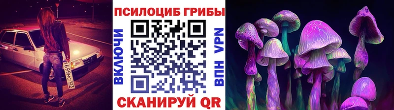 Галлюциногенные грибы GOLDEN TEACHER  Светлогорск 